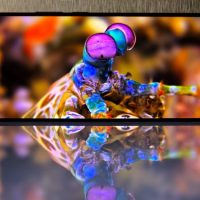 Roadshow Realme GT 7 Meriahkan Peluncuran Gadget Baru