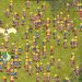 Server Baru Ragnarok Online Classic Menawarkan Leveling Cepat dan Efisien