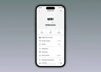 Uji Indikator Titik Hijau di iOS pada WhatsApp dan Fungsinya