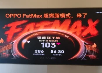 FatMax, Fitur Baru untuk Menghitung Zona Pembakaran Lemak yang Lebih Akurat