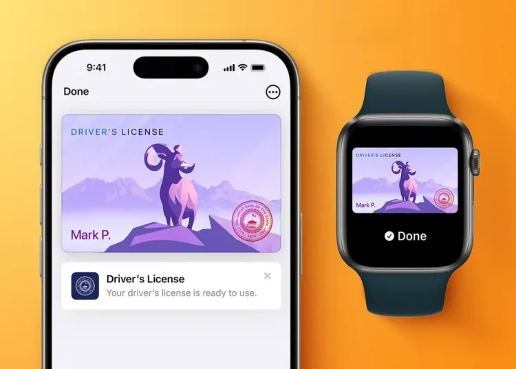 Dompet Digital Bakal Dapat Menyimpan SIM dan ID Digital