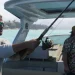 GTA 6 Tampilkan 170 Satwa Liar Termasuk Hewan Baru yang Belum Pernah Ada Sebelumnya